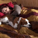Why Does My Dog Sleep With Their Butt In My Face Every Night?