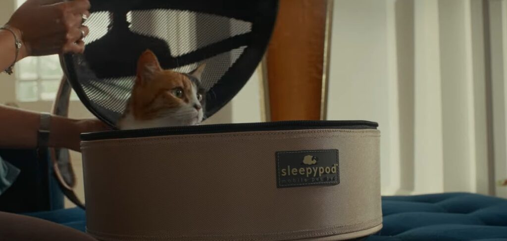 Denver Based Sleepypod Announces Rebrand, Signals the Next Chapter of Pet Travel Safety