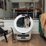 How to Make Litter Box Care a Breeze in Homes with Multiple Cats!