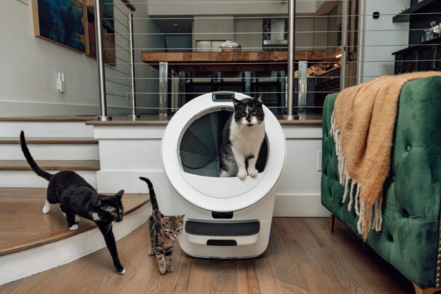 How to Make Litter Box Care a Breeze in Homes with Multiple Cats!