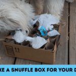 Make a DIY Snuffle Box
