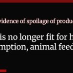 Rotting Spoiled Organic Lamb Coming To A Pet Food Soon – Truth about Pet Food