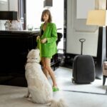12 Dog-Friendly Hotel Chains in the U.S. (2026 Guide) — Dogster