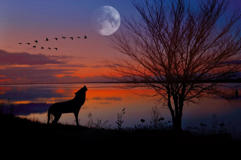 Barking At The Moon: A Skeptic’s Guide To Canine Astrology
