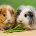 Can Guinea Pigs Eat French Beans (Fine Green Beans)