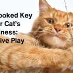 The Overlooked Key to Your Cat’s Happiness: Interactive Play