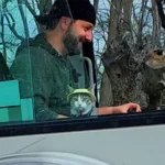 This Cat Turned Dad Into a Softie