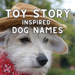Toy Story Inspired Dog Names