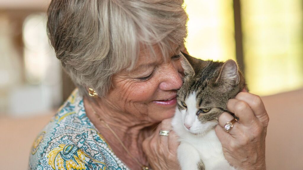 Dementia in cats – and how it can help humans with Alzheimer’s