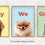 Why We Groom – Groomer to Groomer