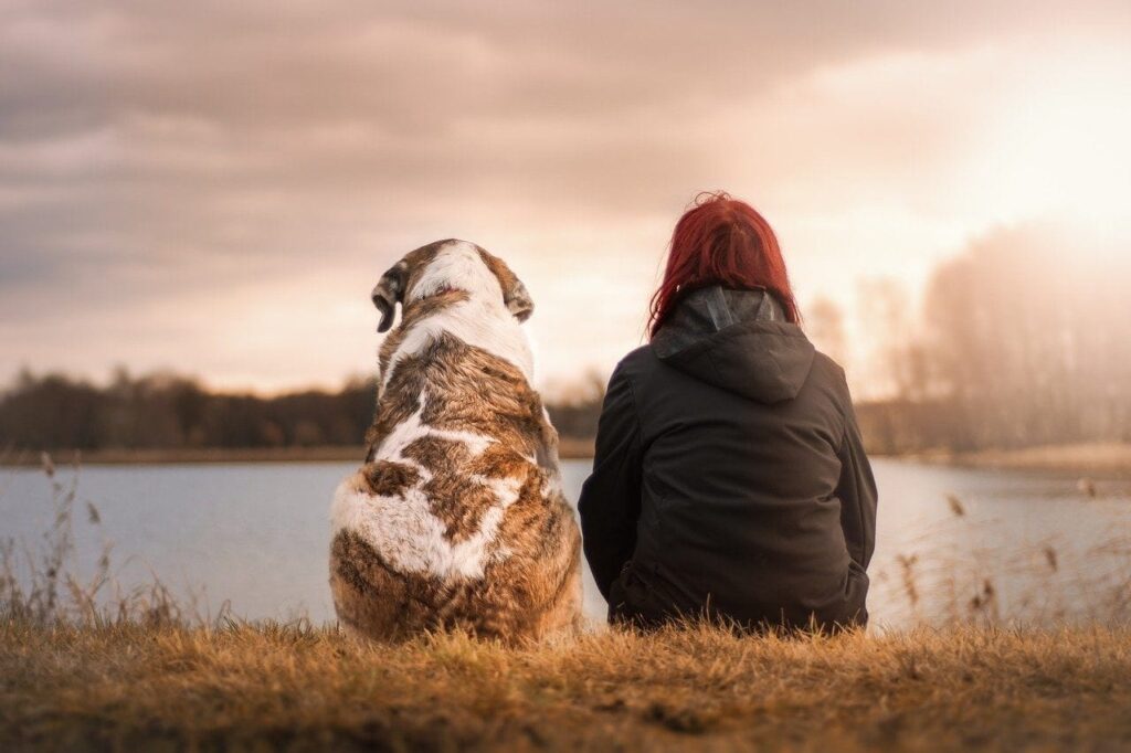 Why is my dog spending more time alone? Here’s the Answer – KeepingDog