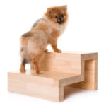 6 DIY Dog Stairs to Help Your Pup: Vet-Approved Ideas (With Pictures) — Dogster