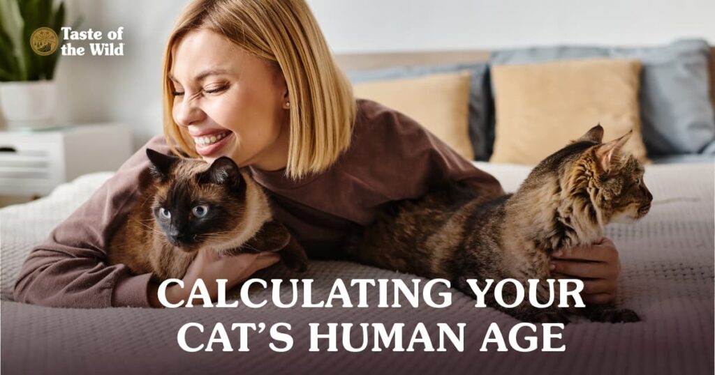 How Old Is My Cat? Converting Cat Years to Human Years