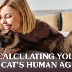 How Old Is My Cat? Converting Cat Years to Human Years