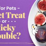 Are Figs Good for Your Pets?