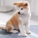 The Potty-Training Plot Twist Nobody Wants